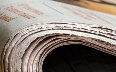 Nota de prensa